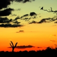 Západ slunce v Okavangu